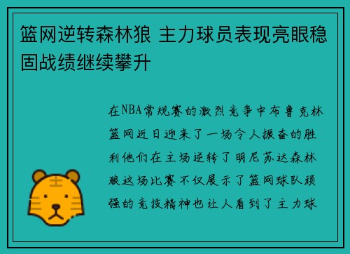 篮网逆转森林狼 主力球员表现亮眼稳固战绩继续攀升